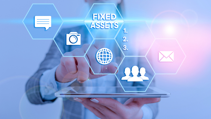 Fixed Assets and Inventory Audit